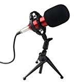 AGPtek®1 condensateur Sound Studio Microphone d'enregistrement micro dynamique + Shock Mount réponse en fréquence cardioïde 20Hz-16KHz (Rouge)