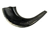 ajudaica 27,9 cm -12 "casher Noir Rams Corne poli Shofar fabriqué en Israël