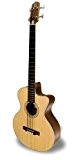APC 601 CW Guitare classique