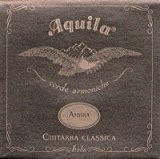 Aquila NYLGUT Silverplate Early 20th Century Classical Guitar String Set, 55C