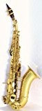 AS arnolds sons aSS 101 &saxophone soprano courbe c