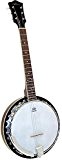 Ashbury AB-35G Guitare banjo Naturel