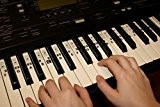 Autocollants de Note de Musique de Piano de clavier Transparent C-D-E-F-G-A-B