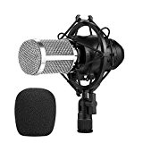 AVANTEK Studio Professionnel Microphone à Condensateur d'Enregistrement Réglable avec Grille à Double Couche, Support Antichoc