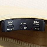 Belcat Iris-2 Rosace de Préamplificateur pour Guitare Noir