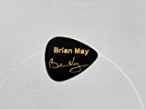Brian May Queen Signature poinçonné médiator en Promo Collector 0,71 mm noir uni