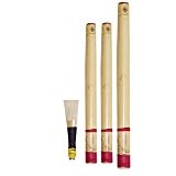Cornemuse écossaise Great Highland Canne Cornemuse Drone Reed Set/Drone Anches/Cornemuse Tuyau Chanter Reed