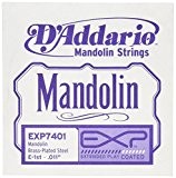 D'Addario Corde seule pour mandoline D'Addario EXP7401 EXP, première corde, .011