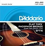 D'Addario Cordes en bronze phosphoreux et avec filet supérieur plat pour guitare acoustique D'Addario EFT16, guitare à résonateur, 12-53