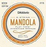 D'Addario EFT76 Jeu de cordes pour Mandoline 16-53 Medium