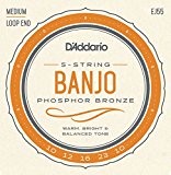 D'Addario J55 Jeu de corde pour Banjo