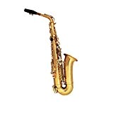 Débutants Probe Saxophone Saxophone Alto Instruments pour réguler la elektrophorese E Golden