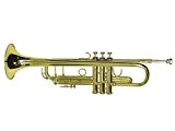 Dimavery TP-LINK 20 Trompette Sib, or