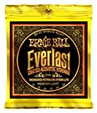 Ernie Ball EP02556 Jeu de cordes pour Guitare folk