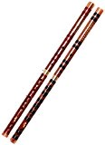 Étude niveau Bitter bambou chinois chinoise Dizi flûte de bambou Instrument avec accessoires