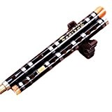 Étude Niveau en bambou Bitter flûte chinoise en bambou chinois Dizi Instrument avec accessoires
