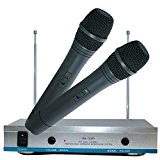 GBL® AK-3300 Lot de 2 microphones sans fil 100m Distance Wireless Headset Microphone MIC Récepteur + pour l'Aérobic, Eglises, Ecoles, ...