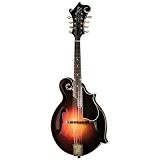 Gibson Custom Shop F5 Fern-Burst · Mandoline Bluegrass