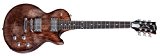 Gibson Les Paul Faded HP 2017 WB · Guitare électrique