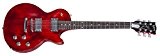 Gibson Les Paul Faded HP 2017 WC · Guitare électrique
