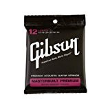 GIBSON MASTERBUILT Premium 80/20 Light