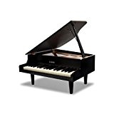 Grand Piano (Black) (japan import)
