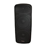 Ibiza DB215A-BT Système de Sonorisation portable Noir