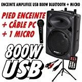 Ibiza Sound - Slk15A-Bt 800W Enceinte + Micro + Pied + Câble Pc
