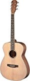 James Neligan ASY-A LH acoustic guitar lefthand