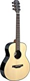 James Neligan LYN-A MINI FI Lyne Serie, E/A Auditorium Travel e-acoustic guitars
