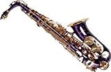 Karl Glaser Saxophone Alto, Violet/doré, avec étui