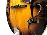 La Plume ténor Micro pour mandoline avec micro-goose Flexible cou par Myers Micros ~ Le Voir en action. Copier et ...