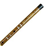 Master Dizi flûte chinoise en bambou Instrument de 2 Sections avec accessoires