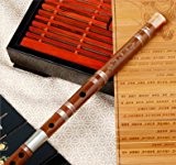 Master en bambou de qualité de Concert Bitter flûte chinoise en bambou chinois Dizi Instrument avec accessoires
