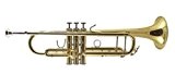 Maybach Trompette Sib M5211 MD