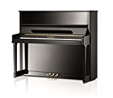moisissures Piano C126 Tradition 126 cm