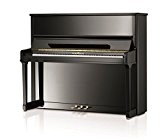 moisissures Piano C130 Tradition Twin Tone 130 cm