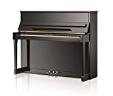 moisissures Piano I119 Tradition 119 cm