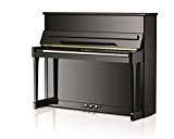 moisissures Piano I123 Tradition Twin Tone