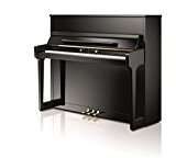 moisissures Piano W118 Tradition 118 cm