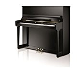 moisissures Piano W123 Tradition 123 cm