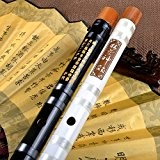 Niveau débutant en bambou Bitter flûte Dizi Musical Instrument 2 sections