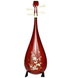 Niveau professionnel vieilli en palissandre Pipa Instrument Chinois Luth avec accessoires