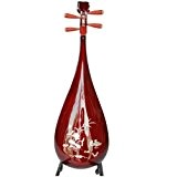Professionnel Coque Pipa Instrument Chinois en palissandre sculpté Luth avec accessoires