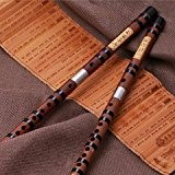 Professionnel Flûte chinoise en bambou chinois Dizi Instrument avec accessoires