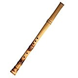 professionnel Flûte de bois de hêtre xiao chinois Shakuhachi courte Type 2 sections