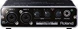 Roland UA-22 Duo Capture-Ex Interface audio numérique 2 canaux