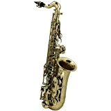 Roy Benson AS-201 Saxophone Alto Mib  avec Etui pour Enfant