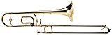 Roy Benson TT-220 Trombone Sib/Do pour Enfant