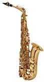 SELMER SERIE III - JUBILE GG (VERNI GOLD GRAVE) Saxophone Saxophone alto Saxophone alto professionnel